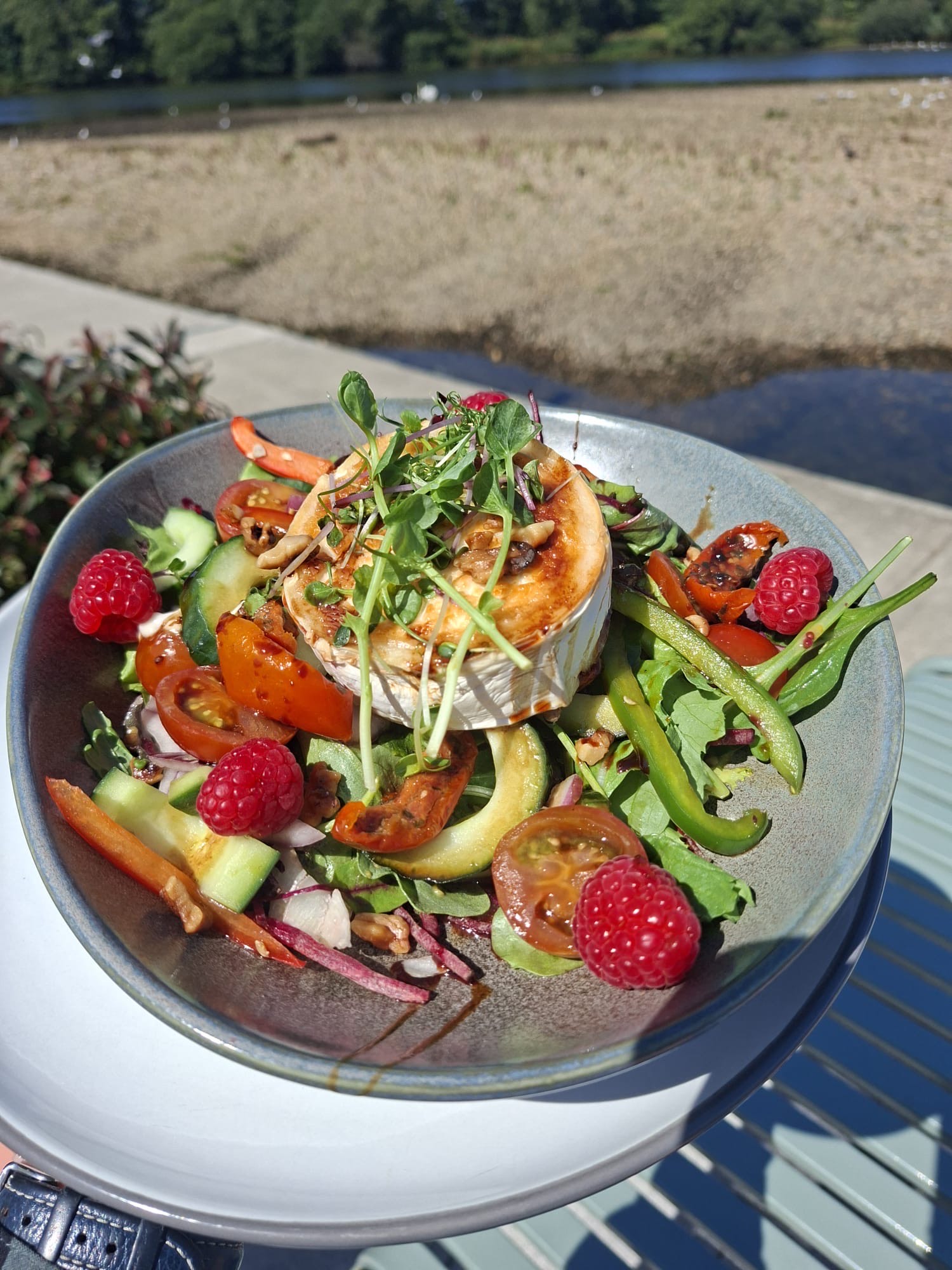 Goat cheese salad served at Gough's